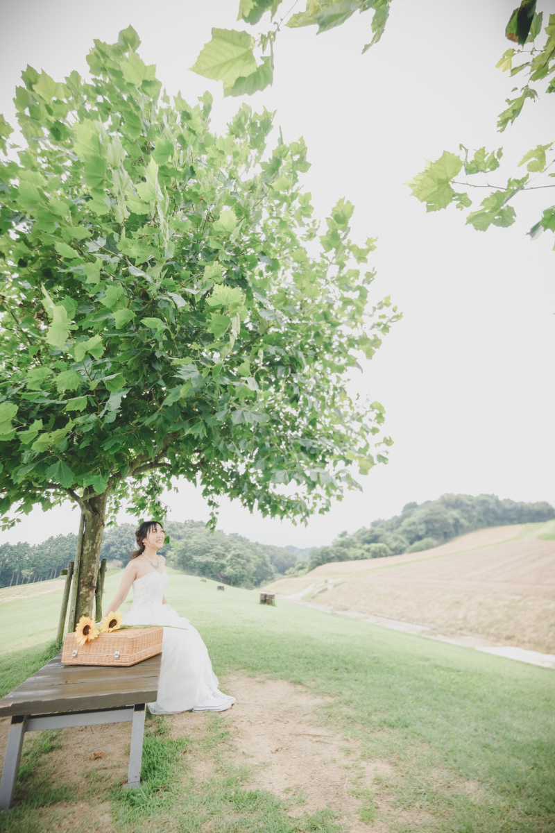 大きな木の下で