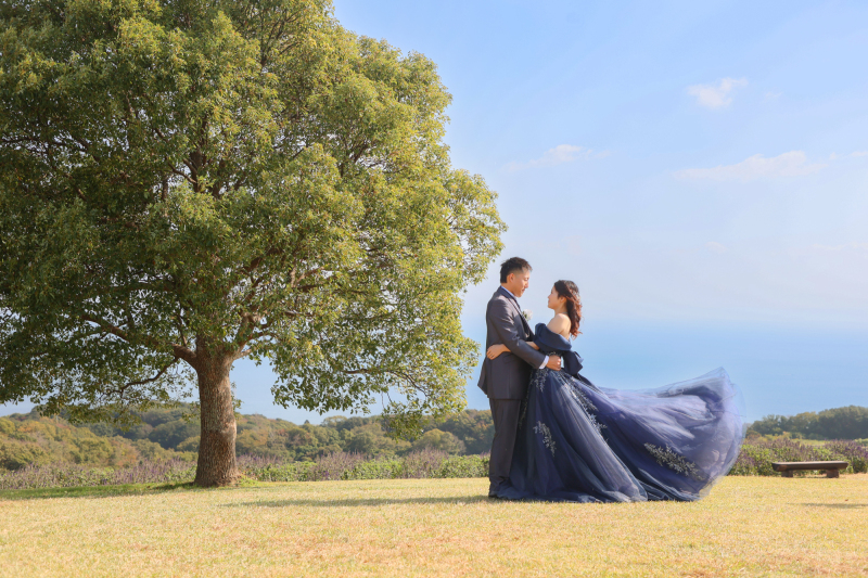 大きな木の下で