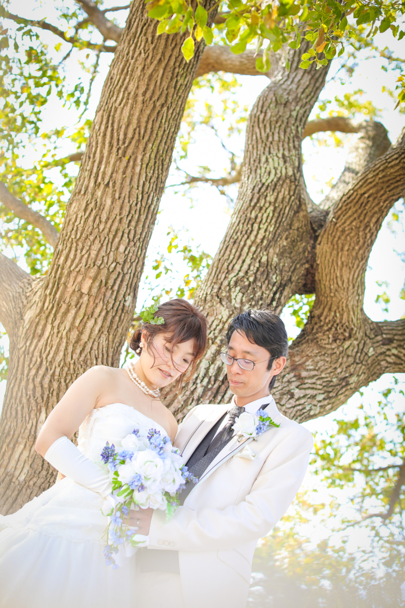 春の木漏れ陽に包まれて♡