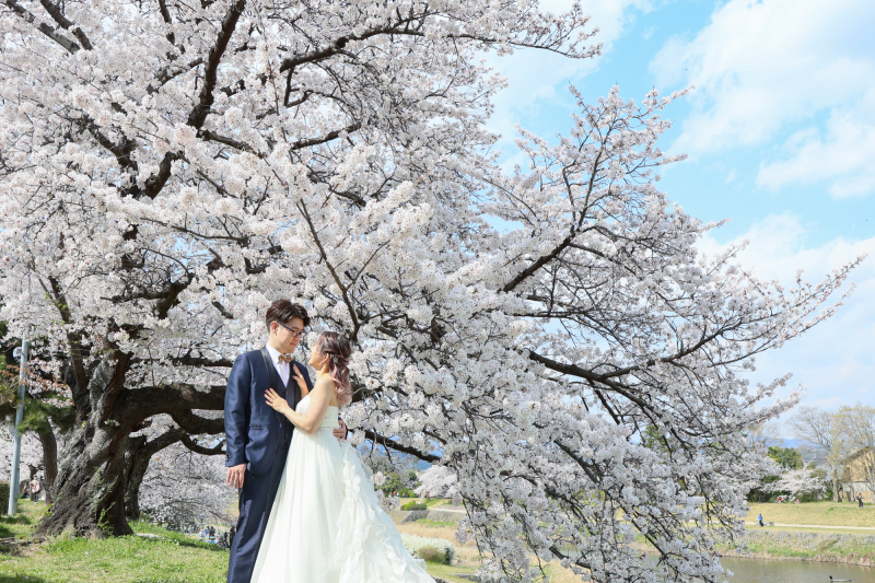 和洋装　桜　鴨川・スタジオ