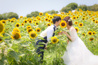 淡路島　伊弉諾神宮&あわじ花さじき　和洋装ロケション撮影