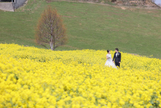 淡路伊弉諾神宮&花さじき　和装&洋装ロケーション撮影