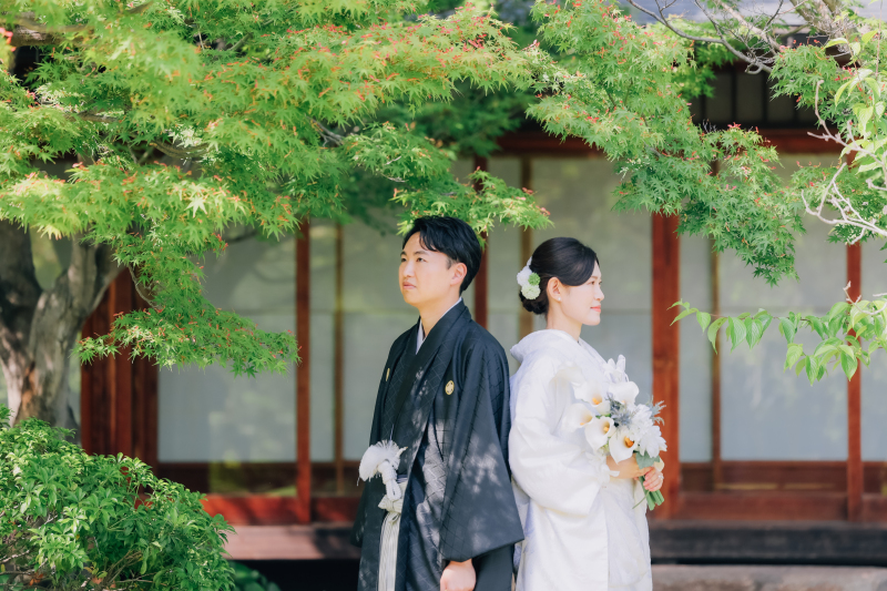 緑のコントラスト