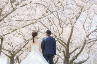 洋装　桜　チャペル　