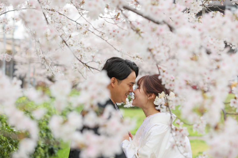 桜の中で