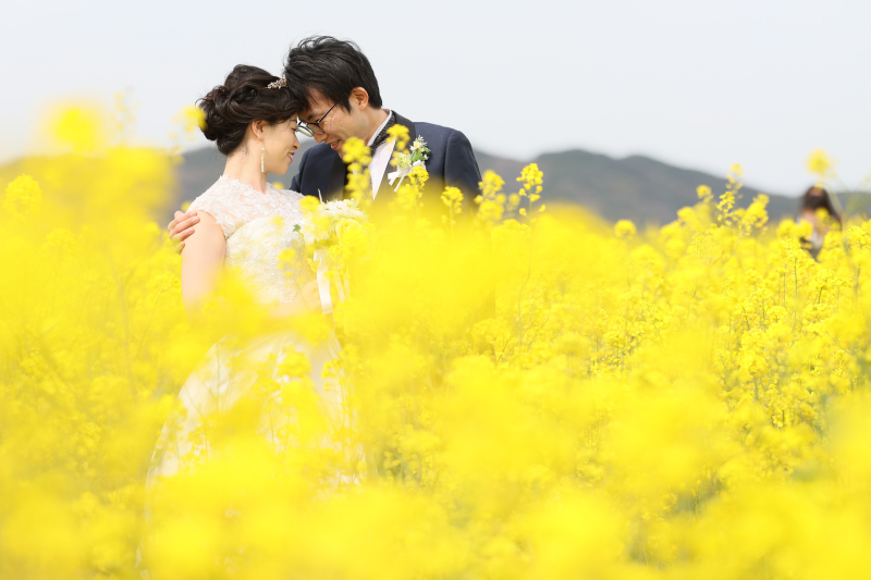 花畑