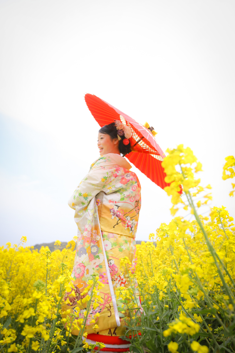 白の色打掛と菜の花