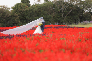 あわじ花さじき&サンセット　ウェディングロケーション撮影