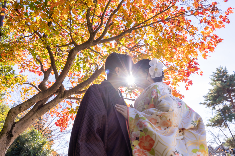 柔らかい日差し