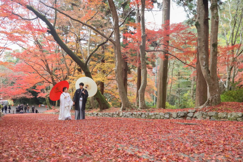 和装　毘沙門堂・萬福寺