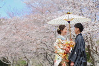 和装/洋装　桜　チャペル　スタジオ