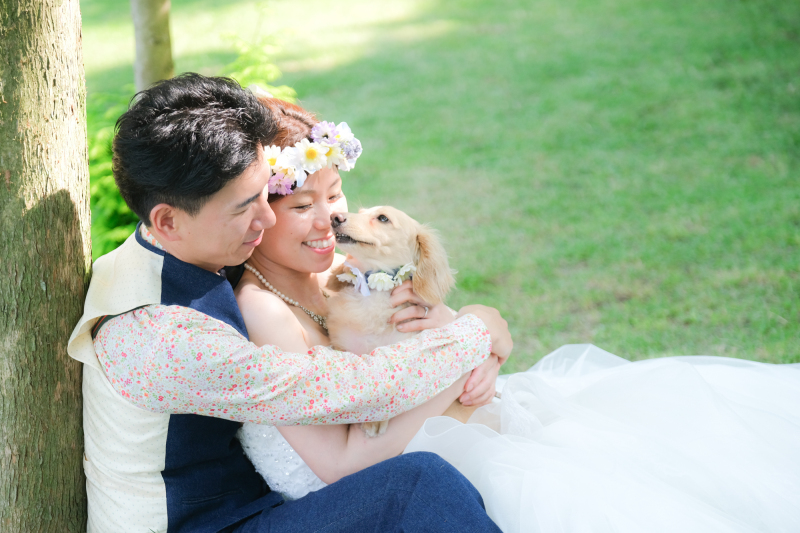 安心わんちゃん