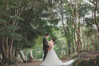 洋装　秘密の森