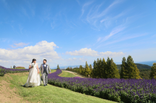 和洋装　神社・チャペル・あわじ花さじき