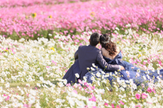 洋装　あわじ花さじき・ビーチ