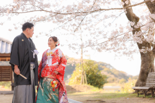洲本八幡神社　桜　和装ロケーション撮影