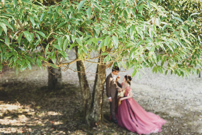 淡路島 森&ビーチサンセット ロケーション撮影