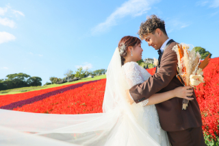 洋装　あわじ花さじき・秘密の森