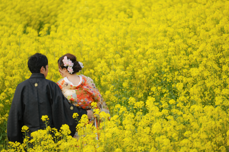 ロケ２ヶ所目は菜の花畑