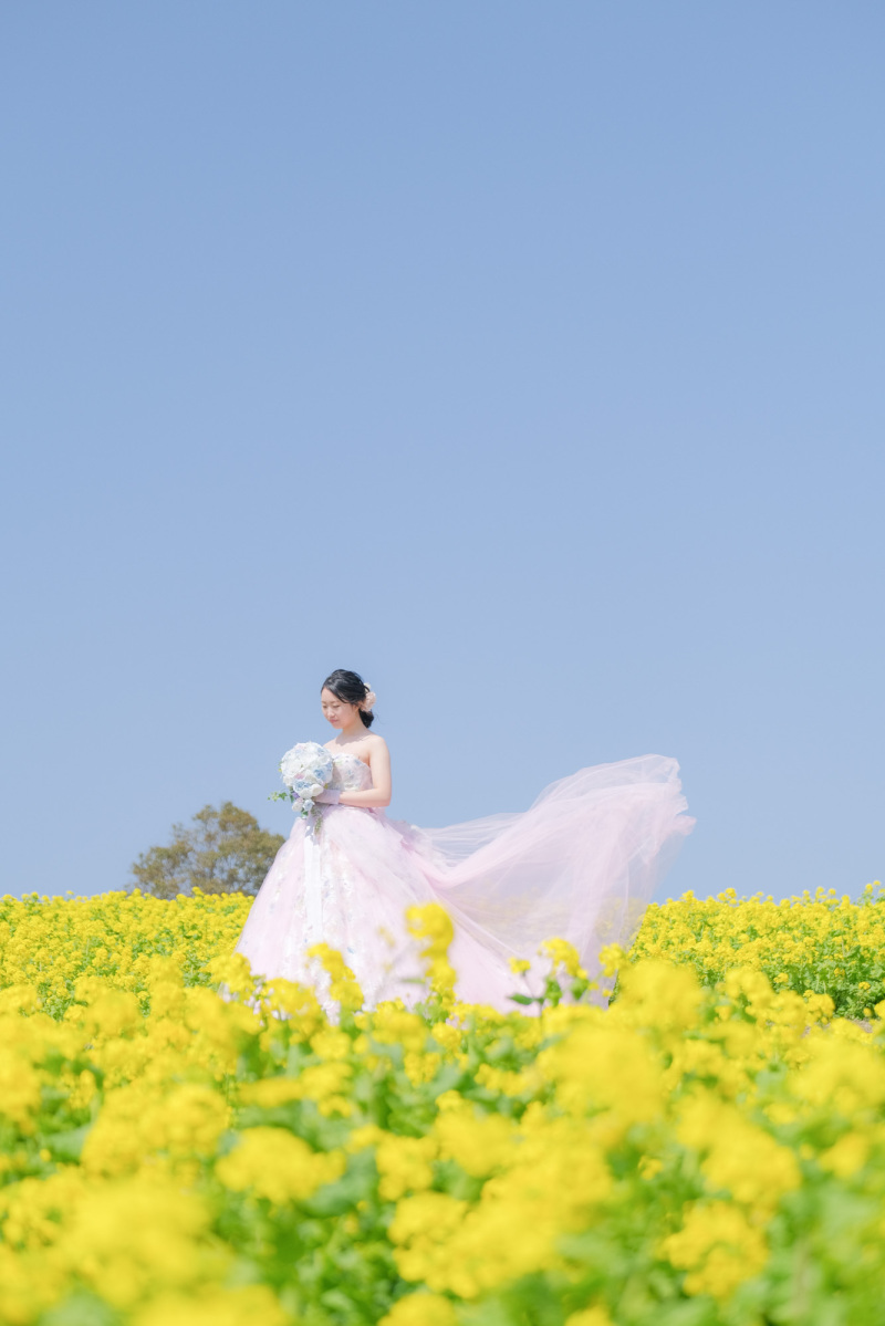 パステルカラー