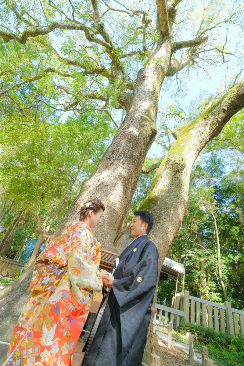 夫婦の大楠〜兵庫県指定天然記念物〜