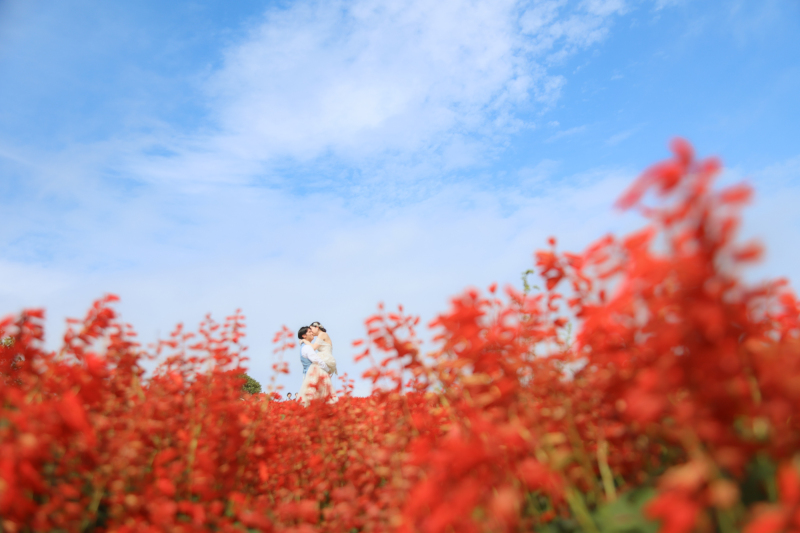 洋装　あわじ花さじき