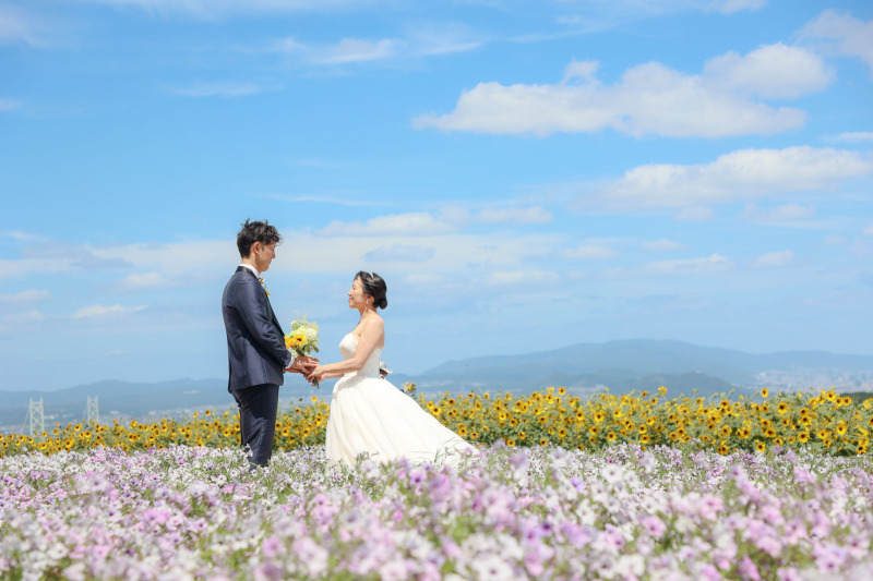 一面のお花畑と青空!彩り豊かなお花畑