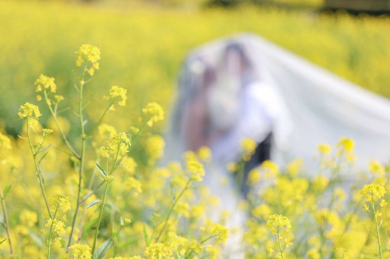 洋装　あわじ花さじき・ビーチ