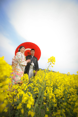 和装菜の花ロケーション撮影とスタジオ