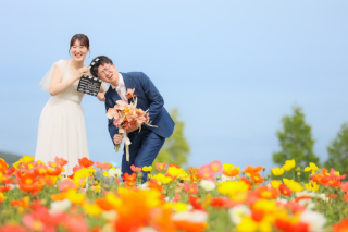 洋装　あわじ花さじき・ペットと一緒