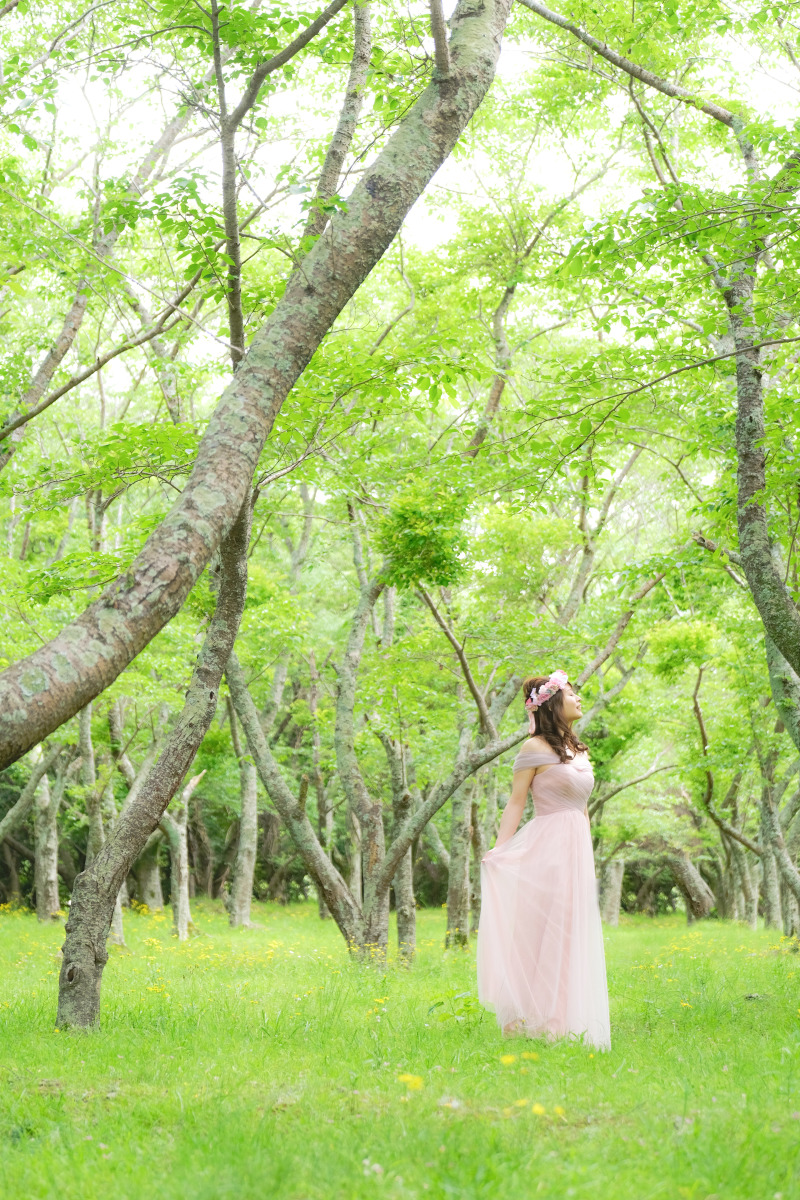 新緑の眩しい中で