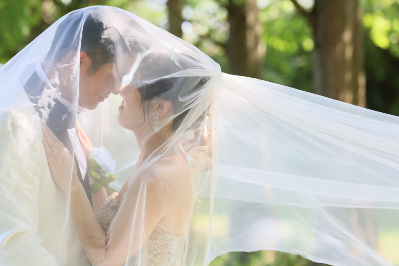 ベールに包まれて