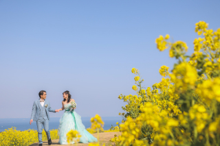 あわじ花さじき　菜の花畑・ビーチ　ウエディング撮影