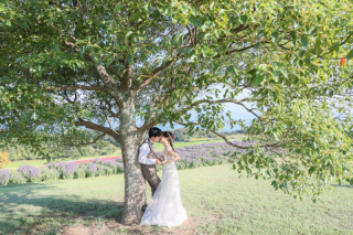 洋装　あわじ花さじき・サンセットビーチ