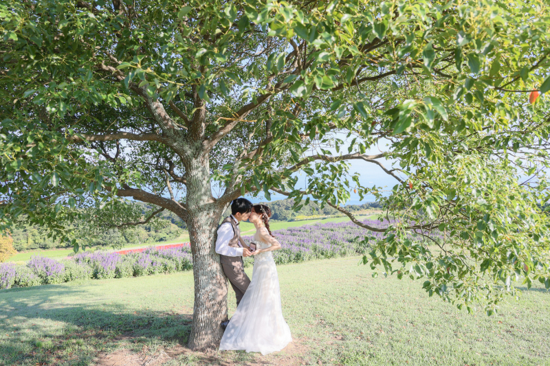 洋装 あわじ花さじき・サンセットビーチ