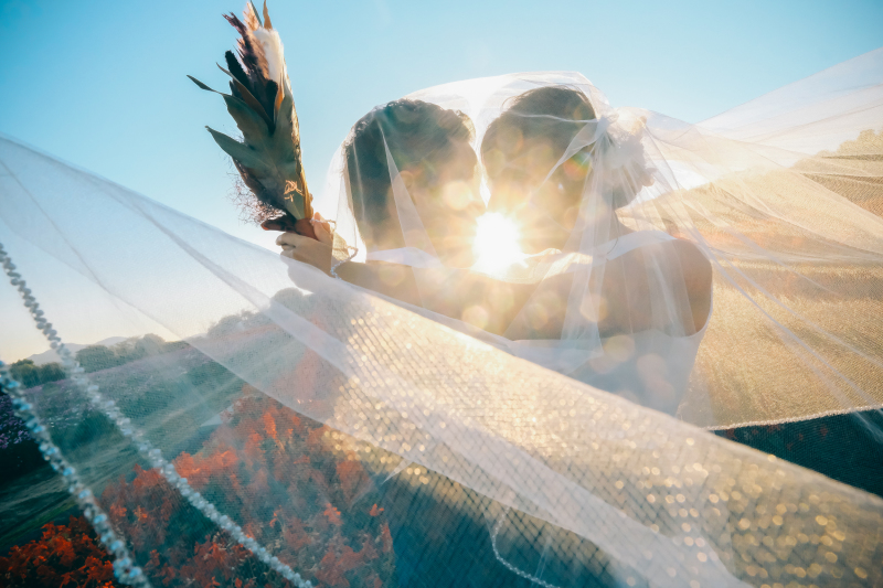 ベールに包まれ、、、