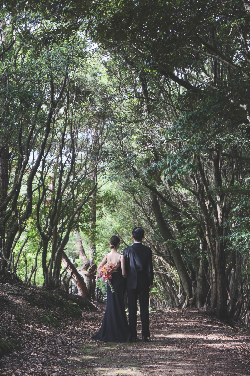 秘密の森