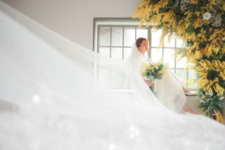 ベール/グローブ(どちらかでも可)