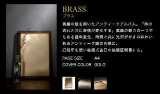 Premium 10ページBRASS20カット程度カタログより他にお好きなタイプを選んでいただけます