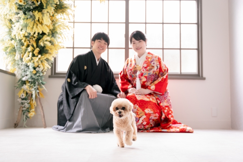 Point1 多彩な撮影シーン