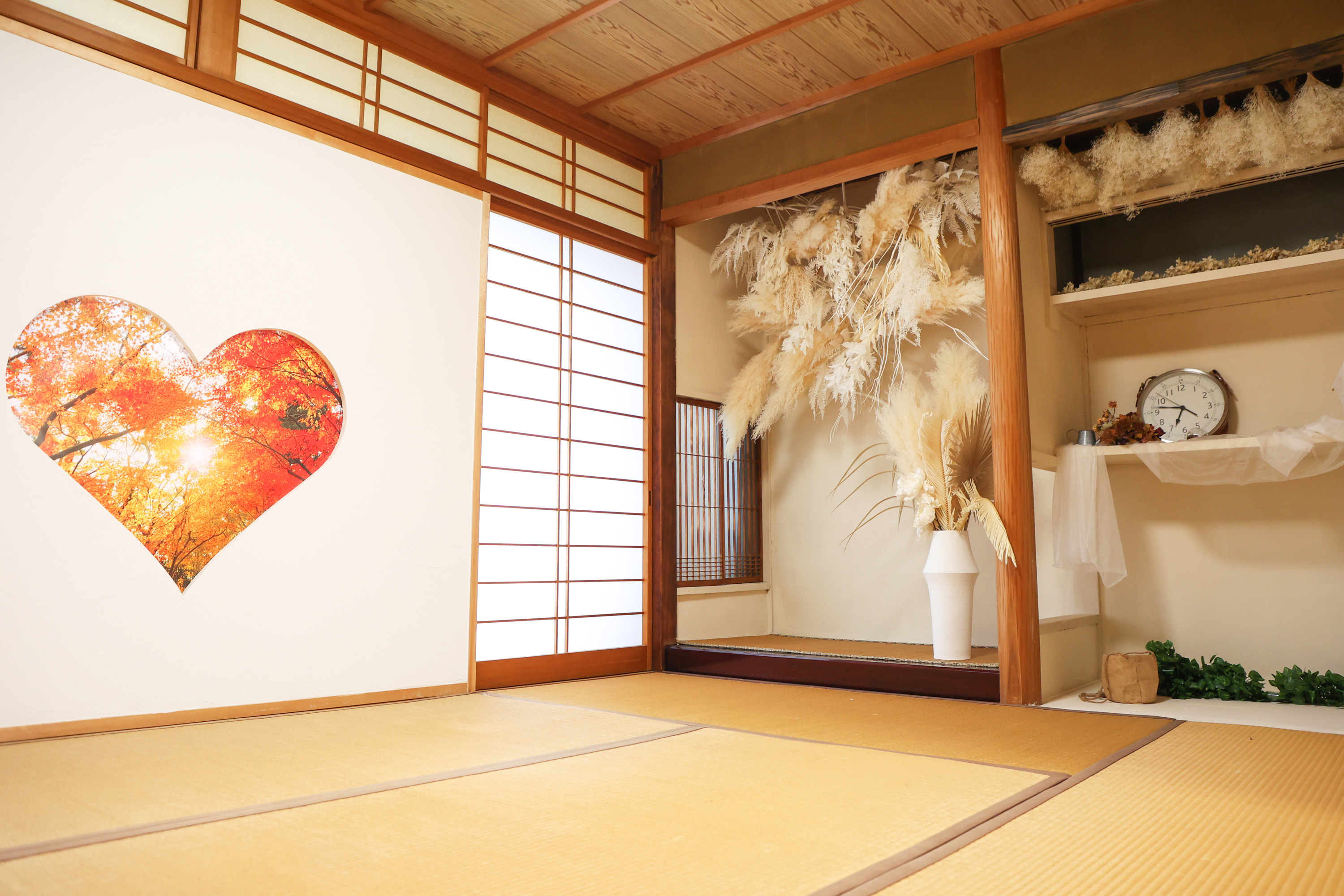 Point1 多彩な撮影シーン