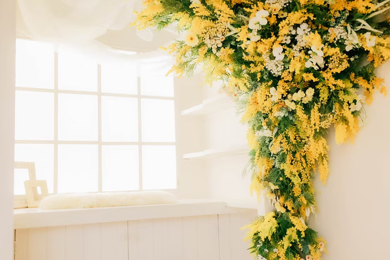 Point1 多彩な撮影シーン