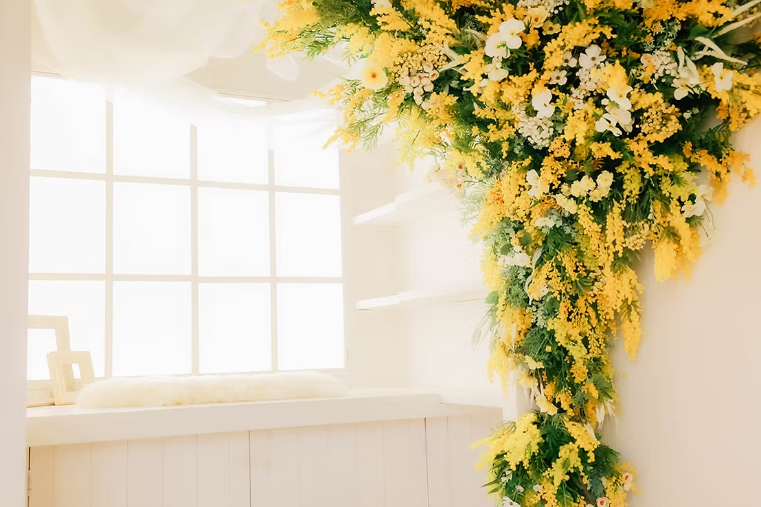 Point1 多彩な撮影シーン