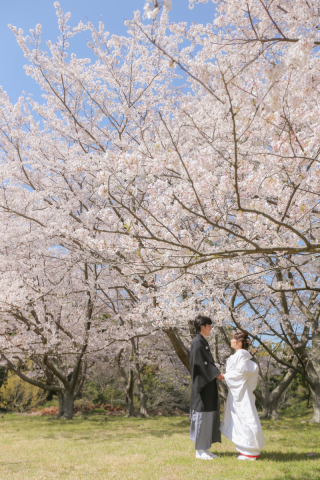Tabi Photo Wedding&reg;︎ -北野サロン＆淡路島スタジオcadeau- _ピックアップフォト