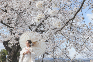 Tabi Photo Wedding&reg;︎ -北野サロン＆淡路島スタジオcadeau- _ピックアップフォト