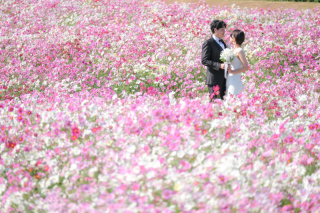 Tabi Photo Wedding®︎ -北野サロン＆淡路島スタジオcadeau- _秋冬ロケーションフォト