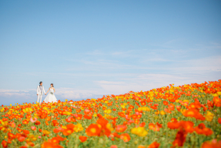 Tabi Photo Wedding&reg;︎ -北野サロン＆淡路島スタジオcadeau- _ピックアップフォト