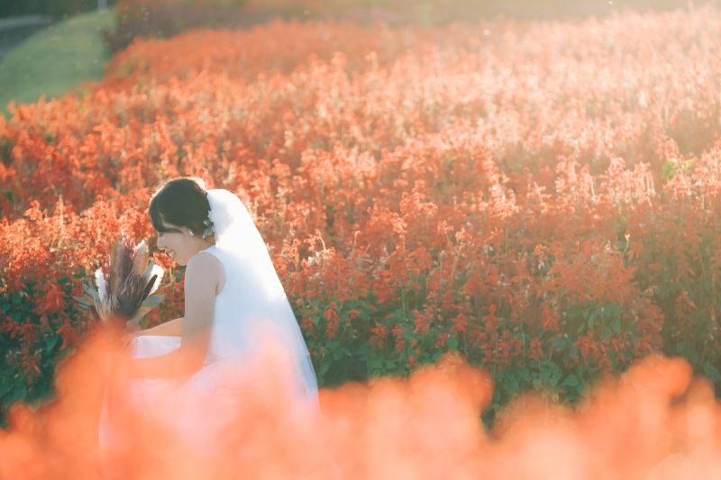 同じ日に違った雰囲気の花畑で撮影ができる