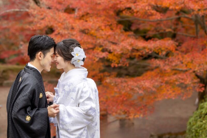 京都紅葉 ロケーション撮影