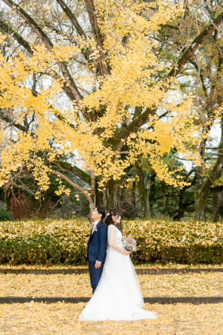 紅葉　ロケーション撮影